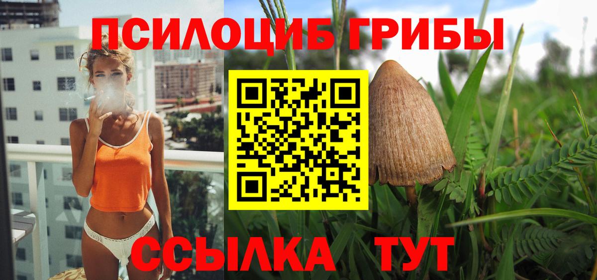 Галлюциногенные грибы мицелий Ессентуки